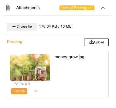 Files With The Project